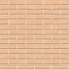 Кирпич керамический лицевой ЖКЗ соломенный дерево 1 НФ в Екатеринбурге