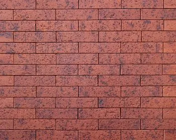 Кирпич керамический лицевой Ликолор Тайга Вулканы Красный оберег 1 НФ в Екатеринбурге