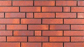 Кирпич керамический Ликолор одинарный Брусника Light в Екатеринбурге