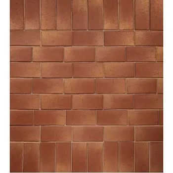 Плитка клинкерная тротуарная ЛСР Ницца Золото темно-красный Классик 200*100*50 в Екатеринбурге