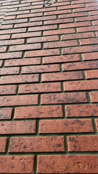 Сердце Вулкана, Красный Оберег Хедер ЖК Маки (4)