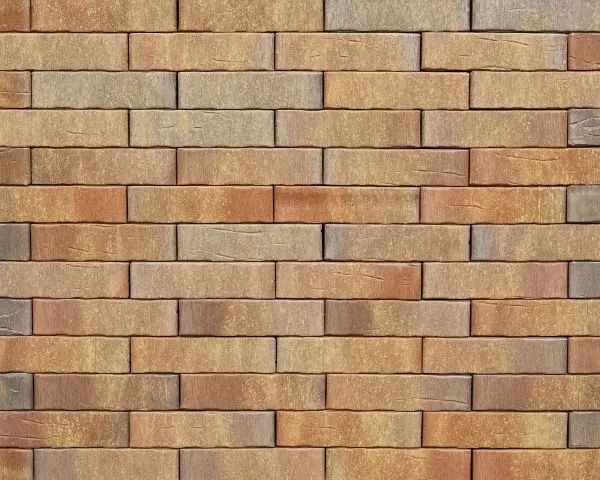 Кирпич керамический лицевой Ликолор Тайга Вулканы Дар земли 0,7 НФ в Екатеринбурге