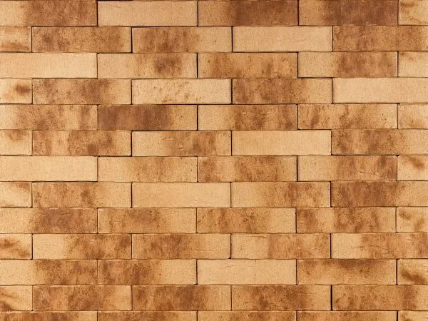 Кирпич клинкерный лицевой Ликолор Сибирский Архитекторъ Омскъ скала 0,7 НФ – купить по низкой цене в Екатеринбурге в интернет-магазине Стройснаб Кирпич клинкерный лицевой Ликолор Сибирский Архитекторъ Омскъ скала 0,7 НФ в Екатеринбурге