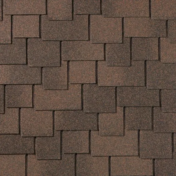 БУКОВОЕ ДЕРЕВО