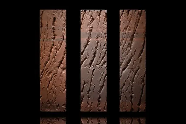 Fusion Strong_2-min Fusion Strong_2-min