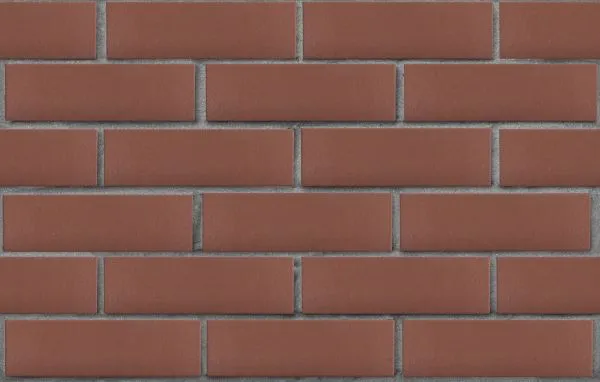 1 серый_корич_полнотел-min 1 серый_корич_полнотел-min