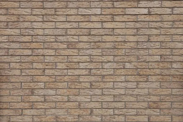 Айвори 1.0.-min Айвори 1.0.-min