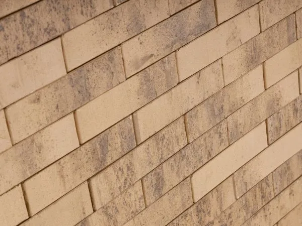 Кирпич клинкерный лицевой Ликолор Сибирский Архитекторъ Барнаулъ лава 0,7 НФ в Екатеринбурге