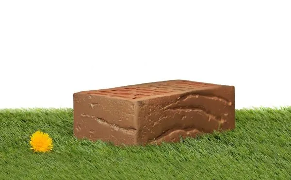 1нф ФЛЭШ - Кора Дуба - трава