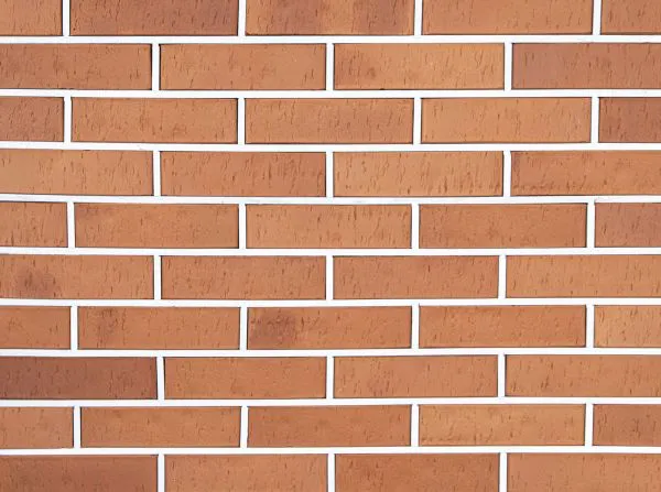 Красный Риф Кл_-min Красный Риф Кл_-min