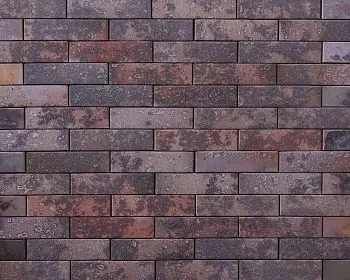 Кирпич керамический лицевой Ликолор Тайга морион север гладкий 1 НФ в Екатеринбурге