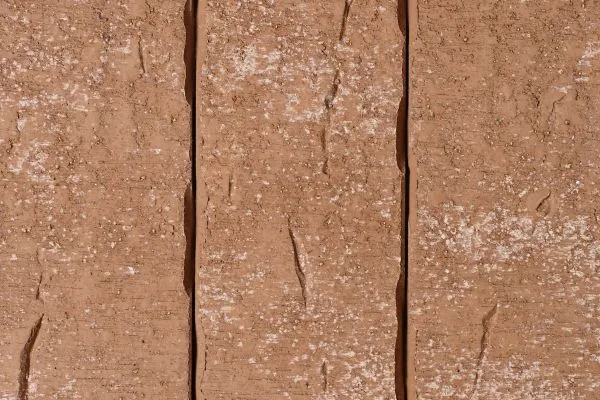 Хранитель времени_0,7НФ_ТайгаВулканы (8)