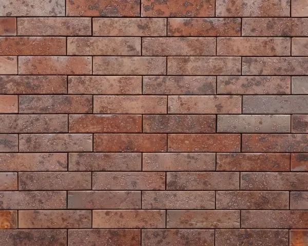 Кирпич керамический лицевой Ликолор Тайга морион юг гладкий 0,7 НФ в Екатеринбурге