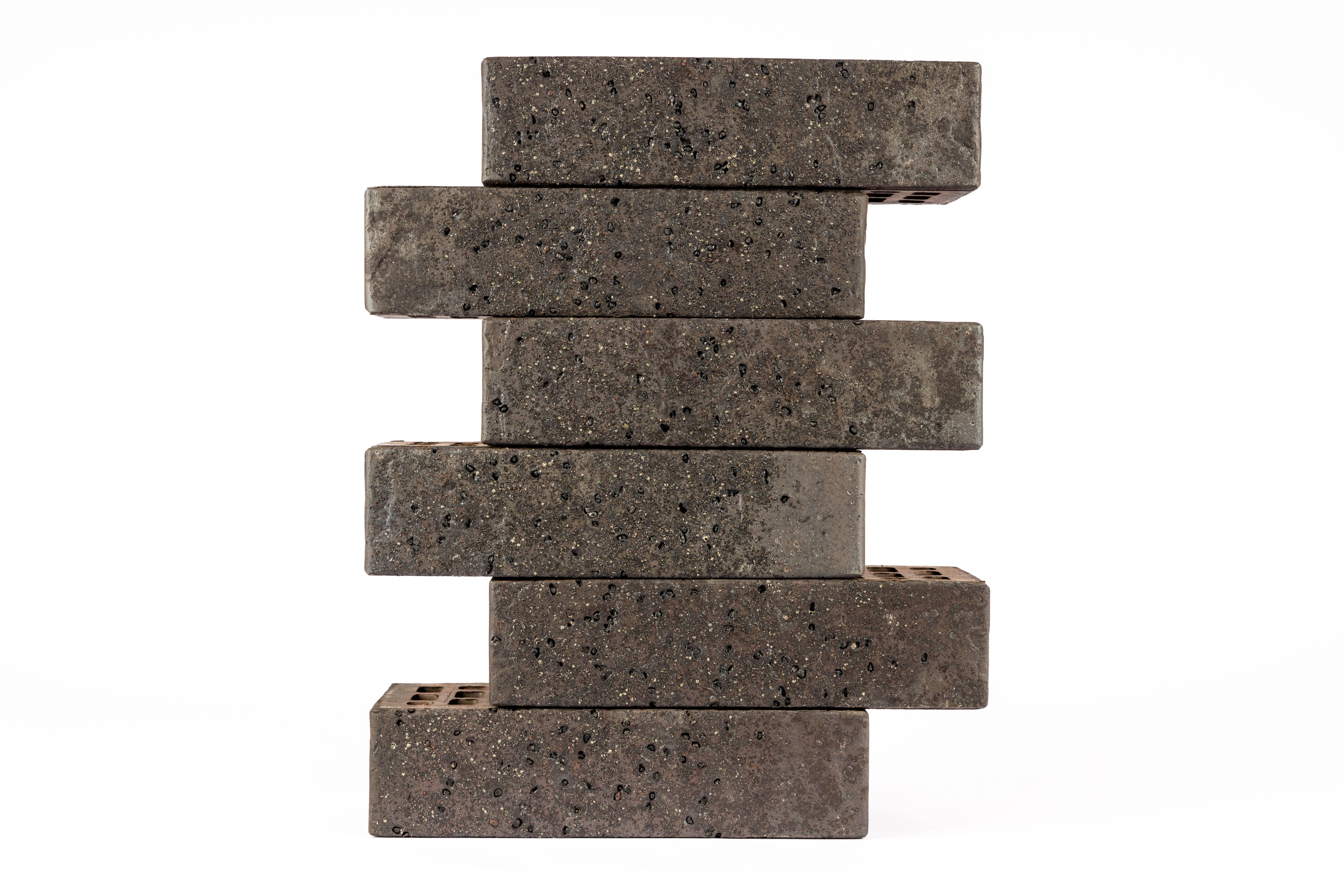 Черное сокровище  (14)