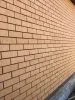 Кирпич керамический лицевой ЖКЗ соломенный скала 1,4 НФ в Екатеринбурге