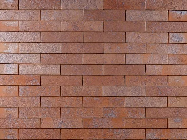 Кирпич клинкерный лицевой Ликолор Сибирский Архитекторъ Иркутскъ шагрень 0,7 НФ в Екатеринбурге