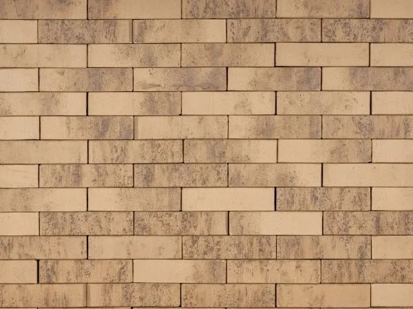 Кирпич клинкерный лицевой Ликолор Сибирский Архитекторъ Барнаулъ лава 0,7 НФ в Екатеринбурге