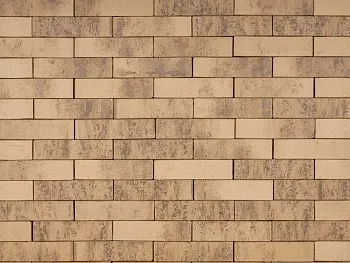 Кирпич клинкерный лицевой Ликолор Сибирский Архитекторъ Барнаулъ лава 0,7 НФ в Екатеринбурге