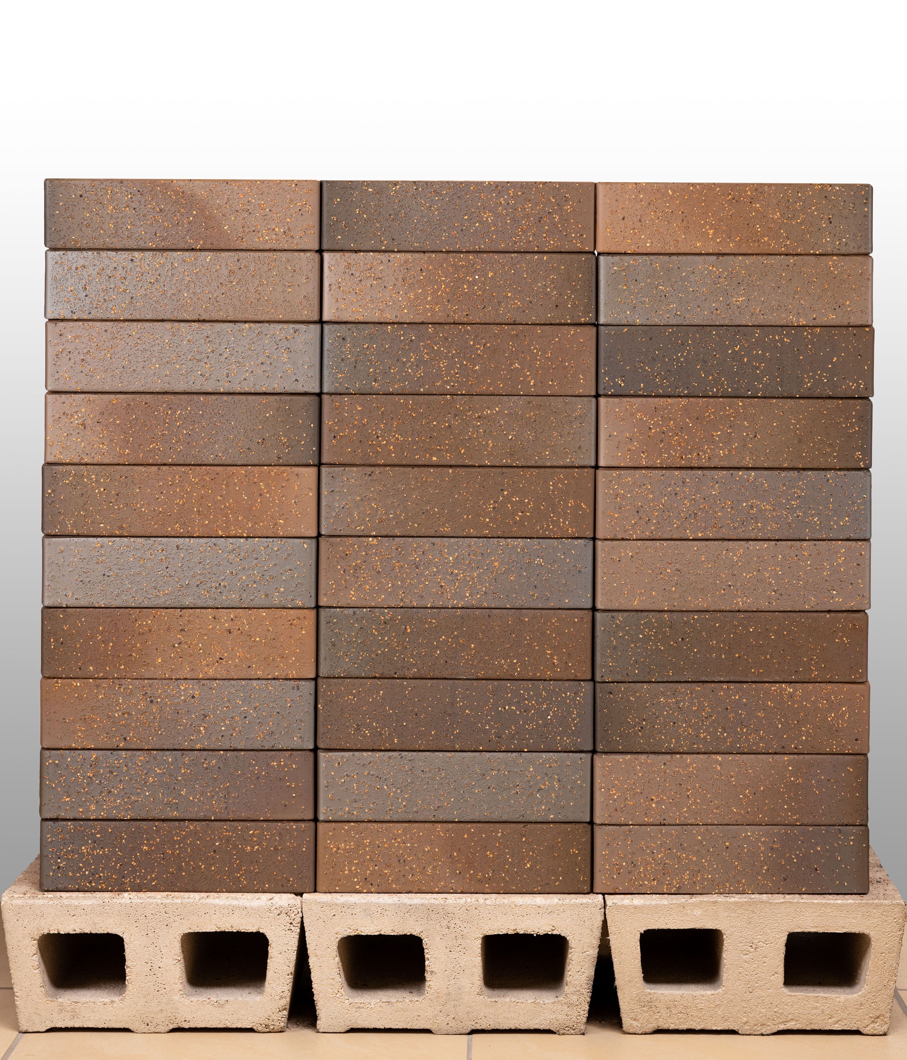 Кирпич керамический лицевой Ликолор Тайга борус гладкий 1 НФ – купить по низкой цене в Екатеринбурге в интернет-магазине Стройснаб Кирпич керамический лицевой Ликолор Тайга борус гладкий 1 НФ в Екатеринбурге