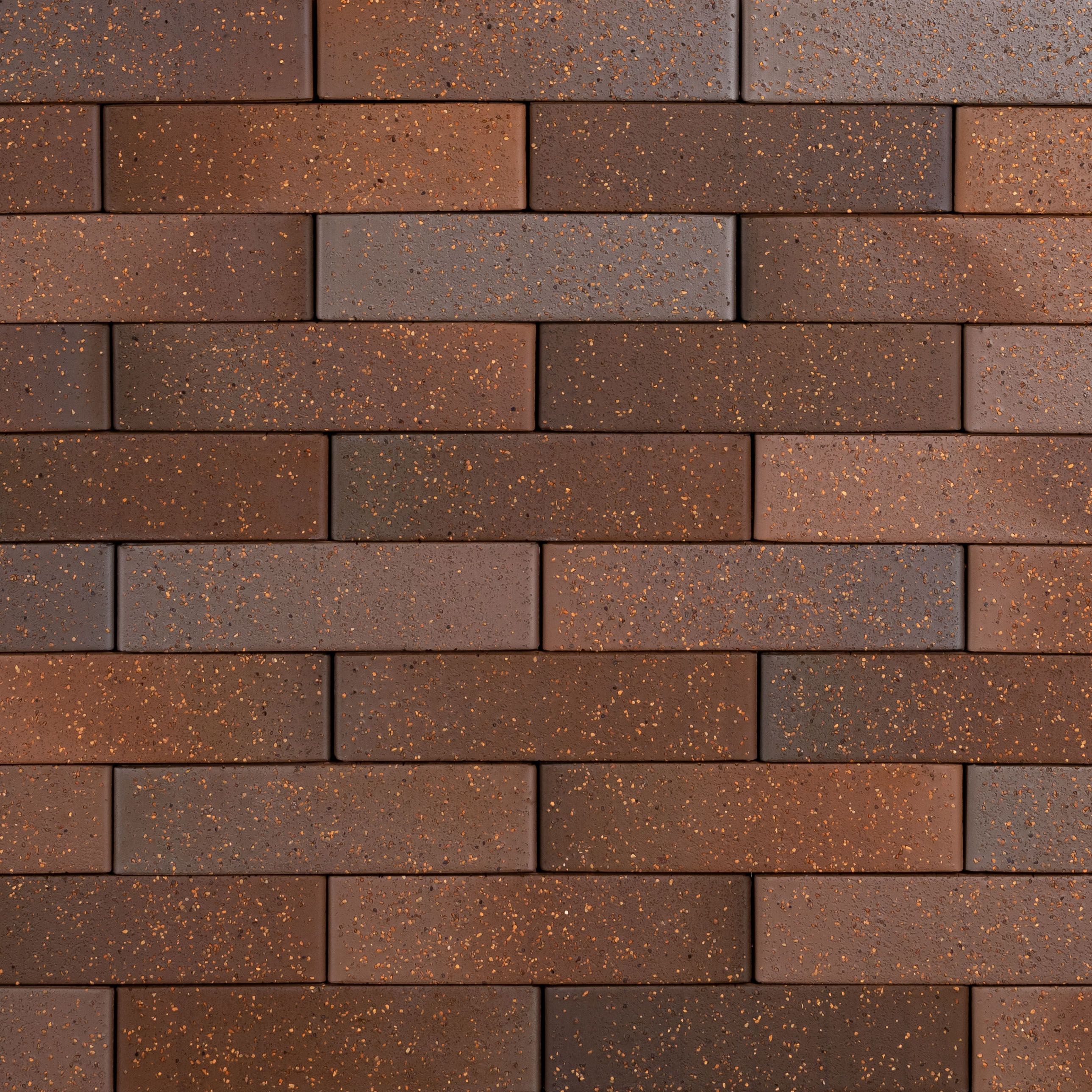 Кирпич керамический лицевой Ликолор Тайга борус гладкий 1 НФ – купить по низкой цене в Екатеринбурге в интернет-магазине Стройснаб Кирпич керамический лицевой Ликолор Тайга борус гладкий 1 НФ в Екатеринбурге