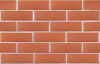 Кирпич керамический ЛСР одинарный Красный рустик в Екатеринбурге