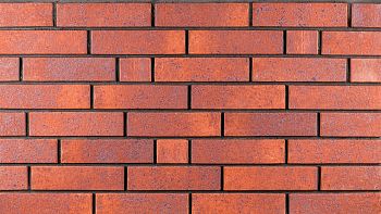 Кирпич керамический Ликолор одинарный Брусника Light в Екатеринбурге