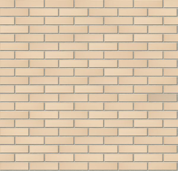 slon-belyj slon-belyj