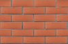 Кирпич керамический ЛСР одинарный Красный рустик в Екатеринбурге