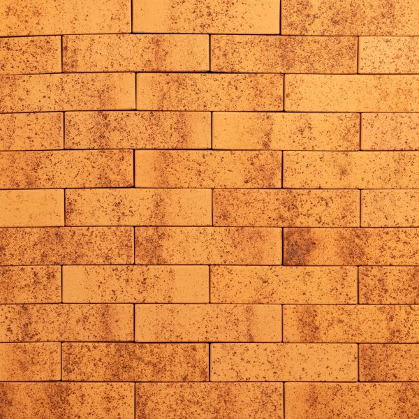 Кирпич керамический Ликолор одинарный Тайга Морошка – купить по низкой цене в Екатеринбурге в интернет-магазине Стройснаб Кирпич керамический Ликолор одинарный Тайга Морошка в Екатеринбурге