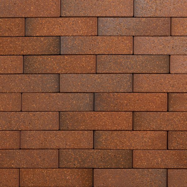 Кирпич керамический лицевой Ликолор Тайга борус гладкий 0,7 НФ – купить по низкой цене в Екатеринбурге в интернет-магазине Стройснаб Кирпич керамический лицевой Ликолор Тайга борус гладкий 0,7 НФ в Екатеринбурге