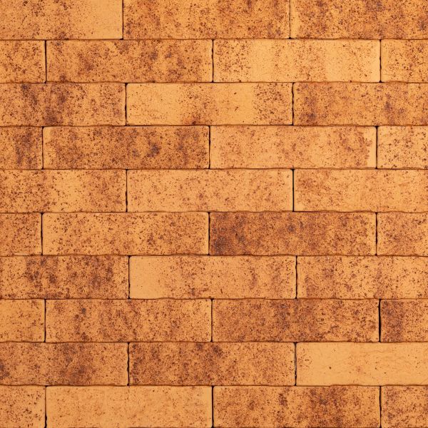 Кирпич керамический лицевой Ликолор Тайга морошка скала 0,7 НФ – купить по низкой цене в Екатеринбурге в интернет-магазине Стройснаб Кирпич керамический лицевой Ликолор Тайга морошка скала 0,7 НФ в Екатеринбурге