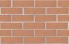Кирпич керамический ЛСР одинарный Светло-коричневый гладкий в Екатеринбурге