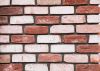 Кирпичная плитка РОЗЕН Ti WDF  в Екатеринбурге