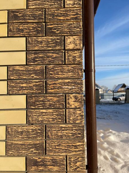 photo_5465624271511470427_y