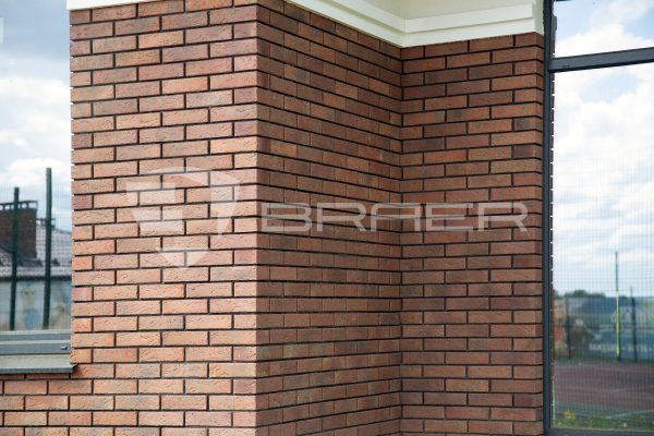 Кирпич керамический лицевой с утолщенной стенкой BRAER MAX 55.08.1 1 НФ – купить по низкой цене в Екатеринбурге в интернет-магазине Стройснаб Кирпич керамический лицевой с утолщенной стенкой BRAER MAX 55.08.1 1 НФ в Екатеринбурге