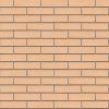 Кирпич керамический лицевой ЖКЗ соломенный дерево 1 НФ в Екатеринбурге